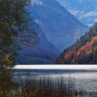 Foundation-Rooted-in-bitcoin